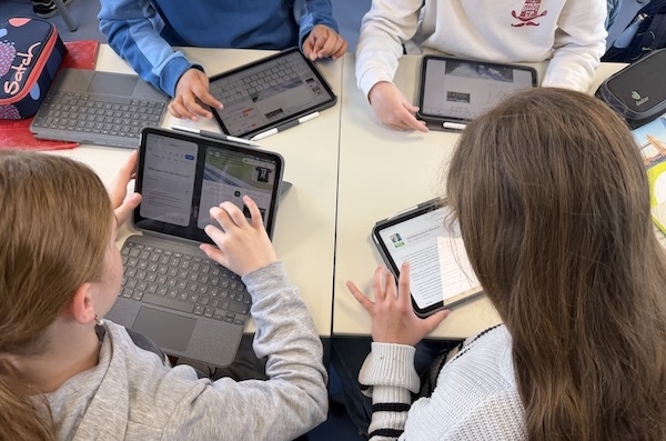 Einstiegsprofile in Klasse 5